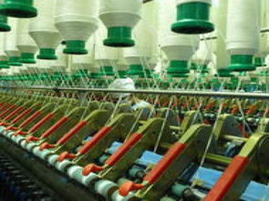 富星棉业加盟 从棉花到蔬菜的多元化连锁探索