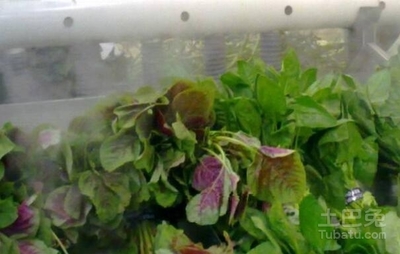 蔬菜加湿器 保鲜技术的革新与优质生产厂家推荐