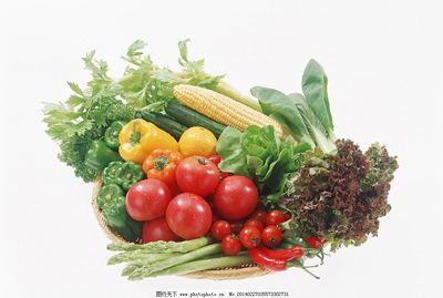 蔬菜 自然馈赠的斑斓诗篇