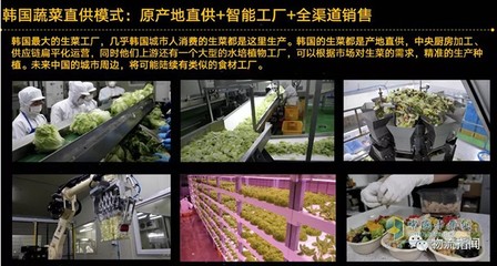 数字经济浪潮下，蔬菜供应链的未来五年新趋势