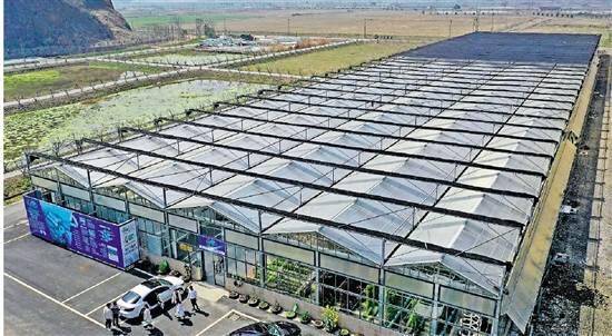 德清“鱼菜共生”数字化工厂 养鱼不换水，种菜不施肥的生态奇迹