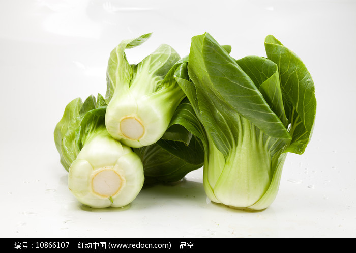 瓢儿白 餐桌上的清新绿意与健康之选